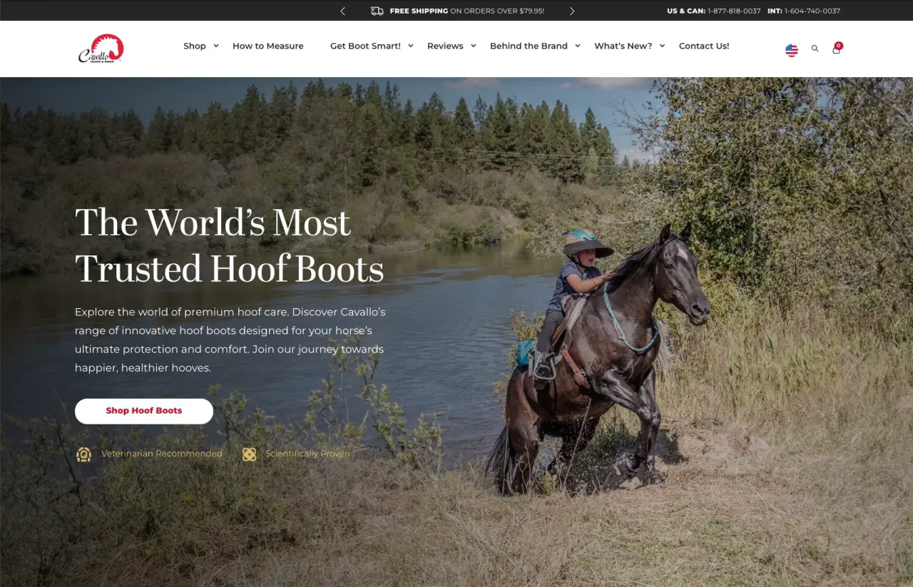 Cavallo Inc. screenshot